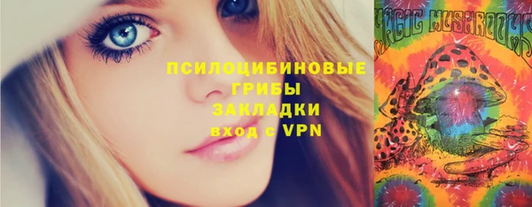 бошки Каменка