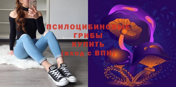 герыч Каменногорск