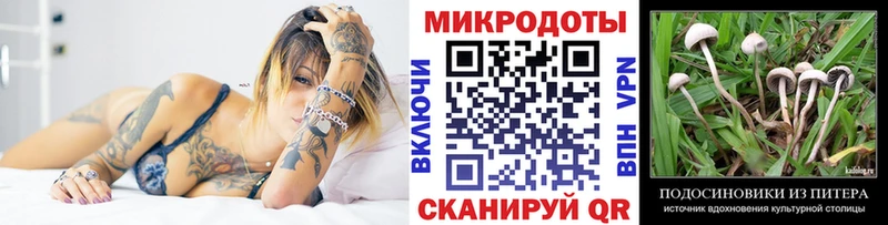 Псилоцибиновые грибы Psilocybe  Купить  Бобров 
